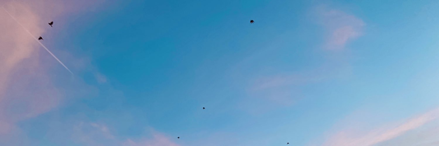 Nicky banner