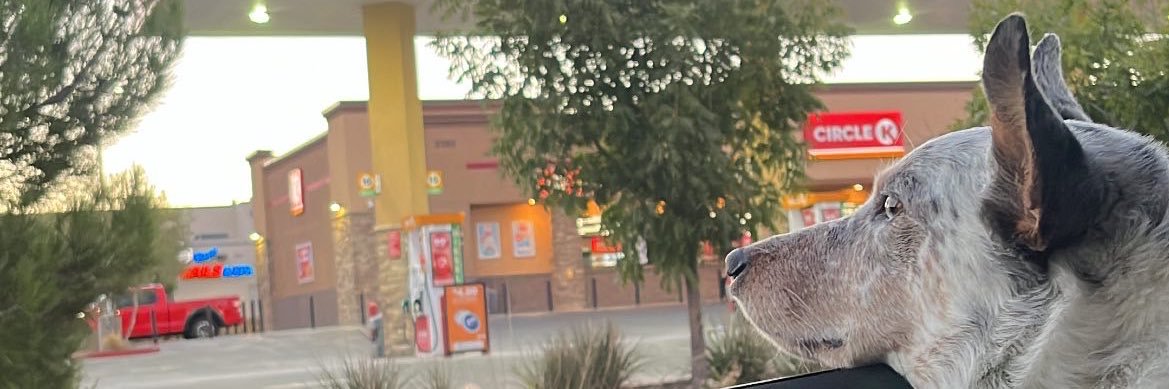 upsetbi's profile banner image