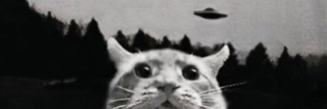 luiscolon1's profile banner image