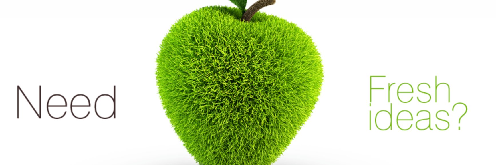 Fresh Biz Solutions banner