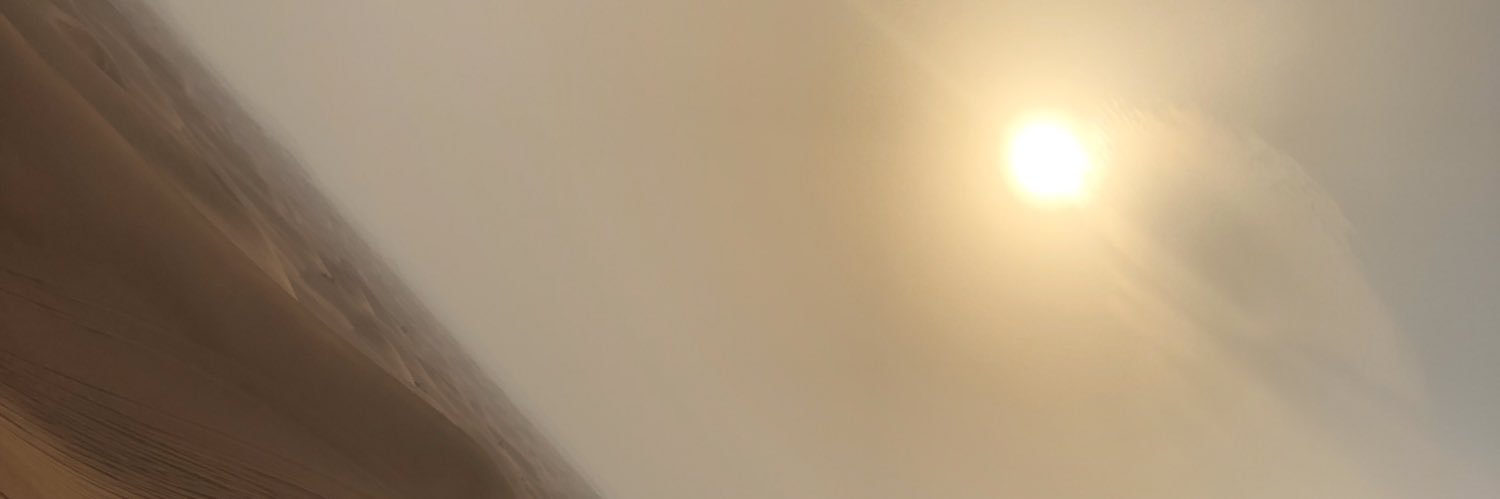 mollygardner_'s profile banner image