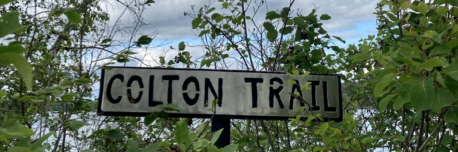 coltonstelter's profile banner image