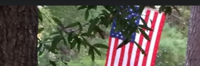 BurkeAnnette's profile banner image