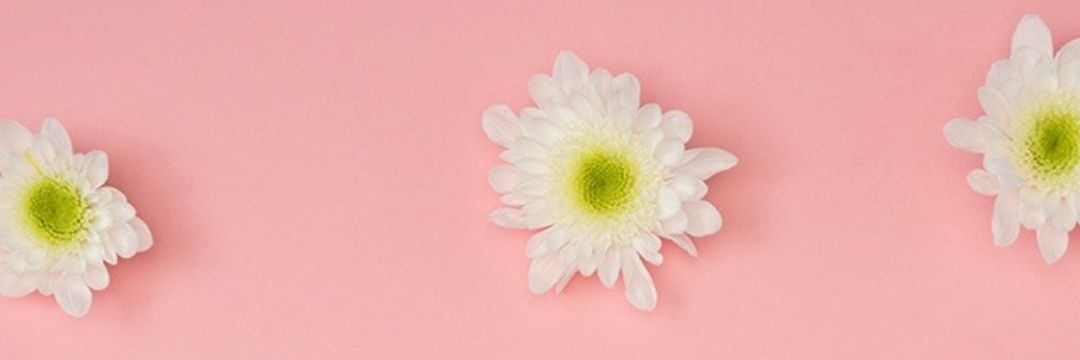 gipsychick25's profile banner image