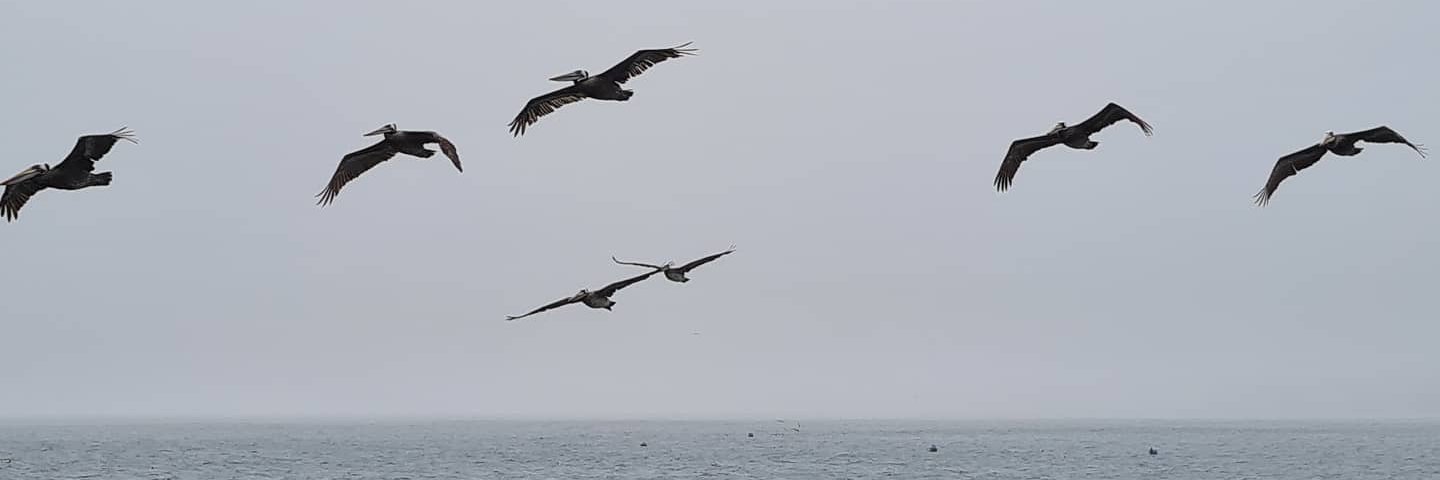 jorgesendra82's profile banner image