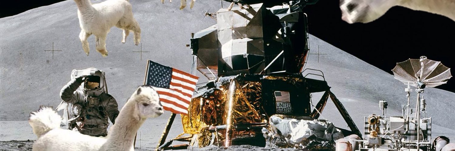 alpaca_espacial's profile banner image