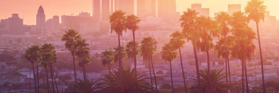 ALpal009's profile banner image