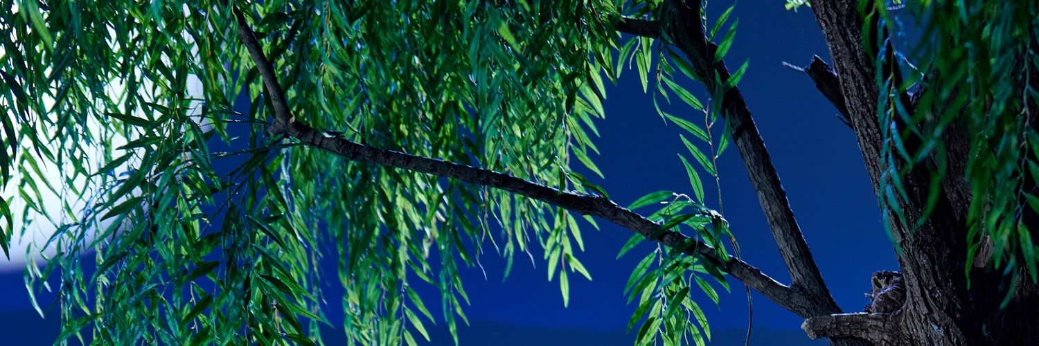 Hopichick's profile banner image