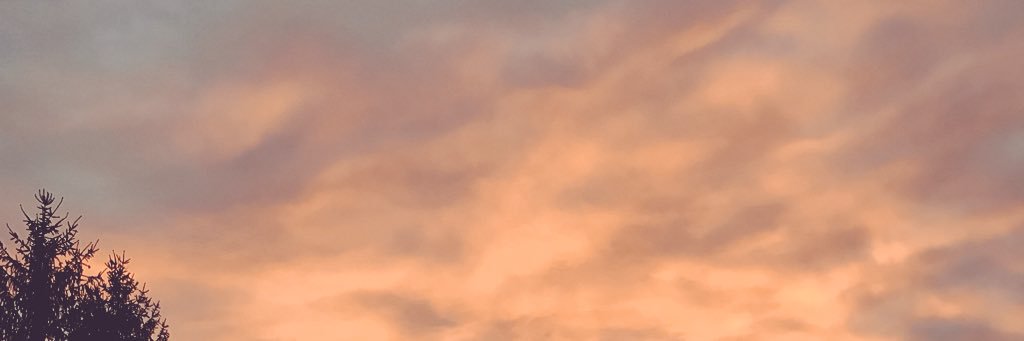 TrangMar21's profile banner image
