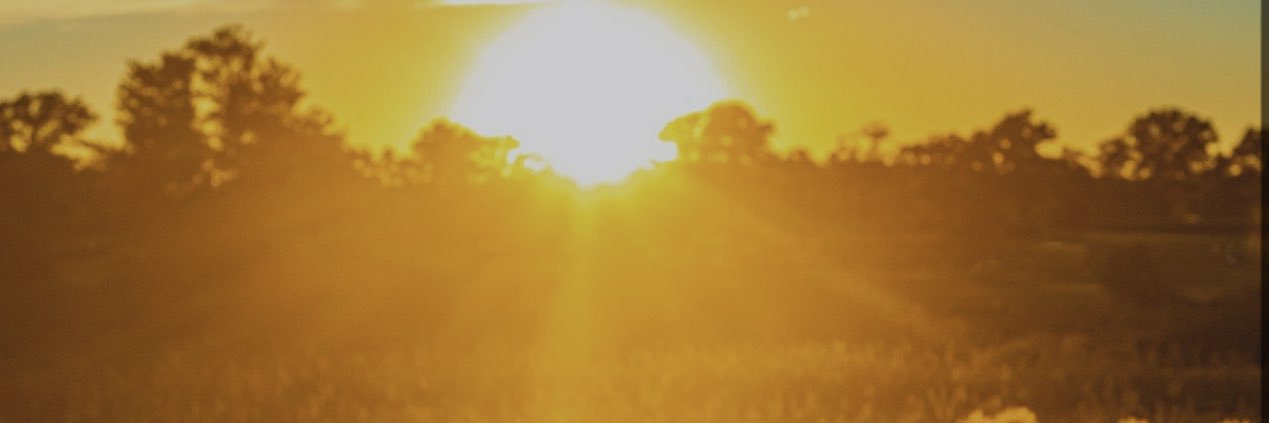 Alasjiaa's profile banner image