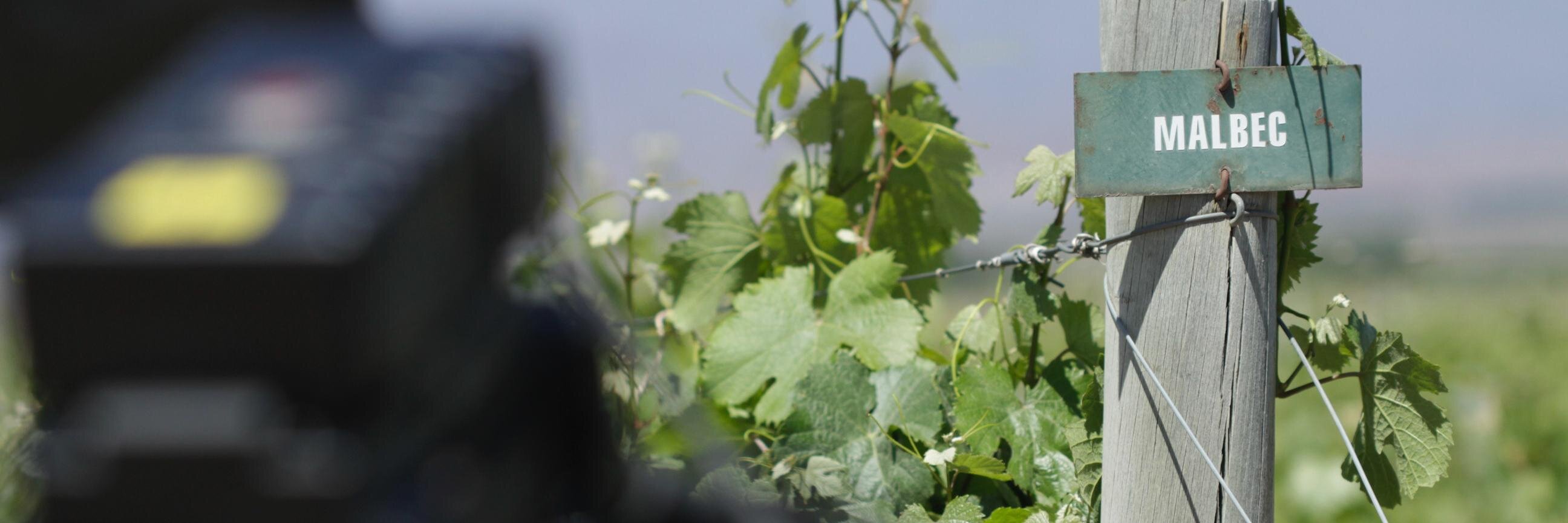 elixirwinegrp's profile banner image