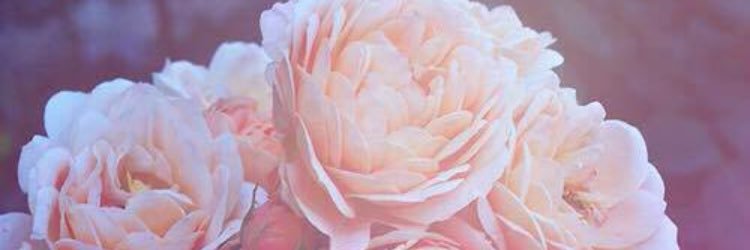 JawdynElizabeth's profile banner image