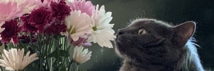 nearonis's profile banner image