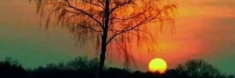 EstelaBastidas's profile banner image