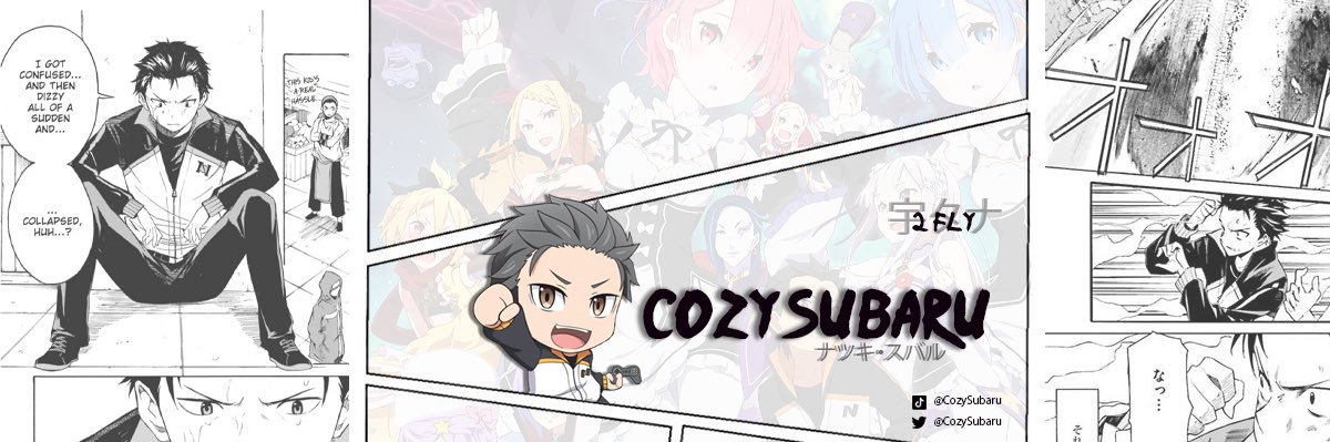 Subaru banner