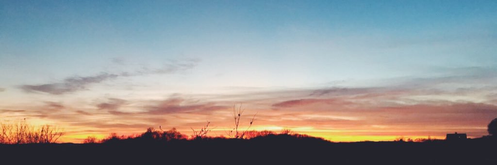 payton989's profile banner image