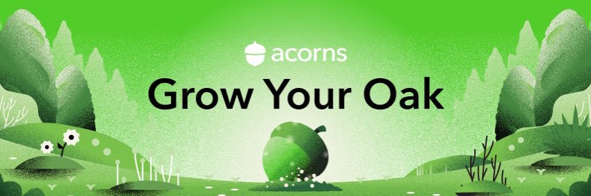 Acorns banner