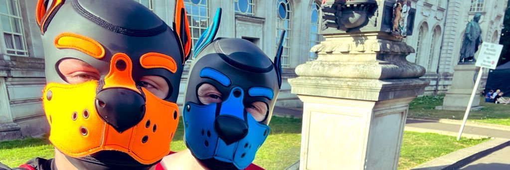 PupTizer's profile banner image