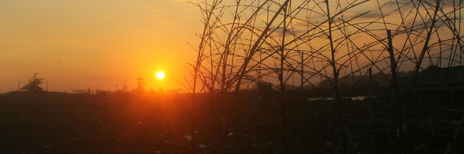 pgptsr's profile banner image