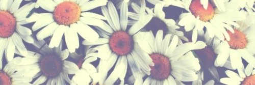 StephhKes's profile banner image