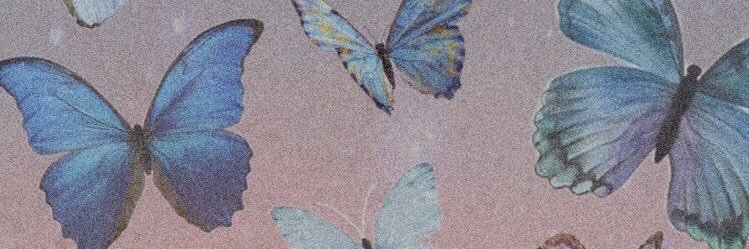 FloorAntonellaa's profile banner image