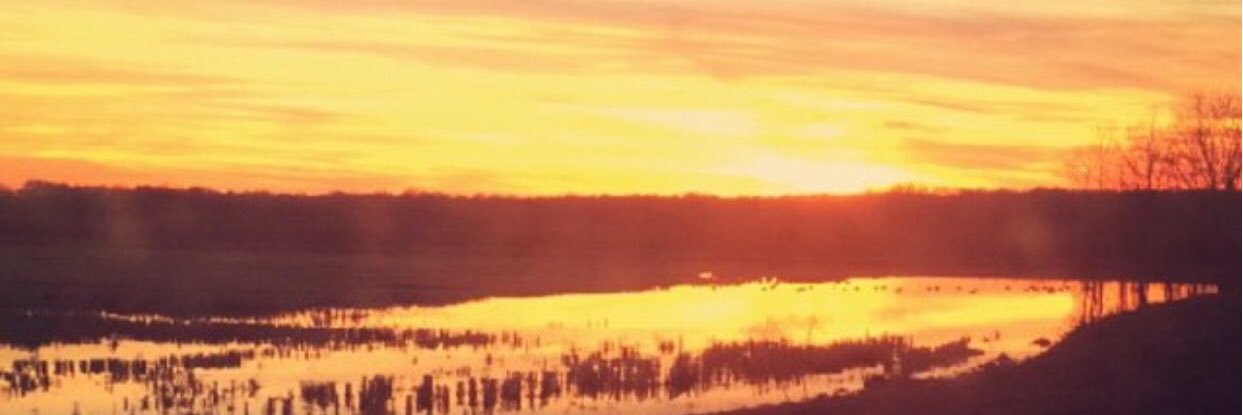 AllisonRoblin's profile banner image
