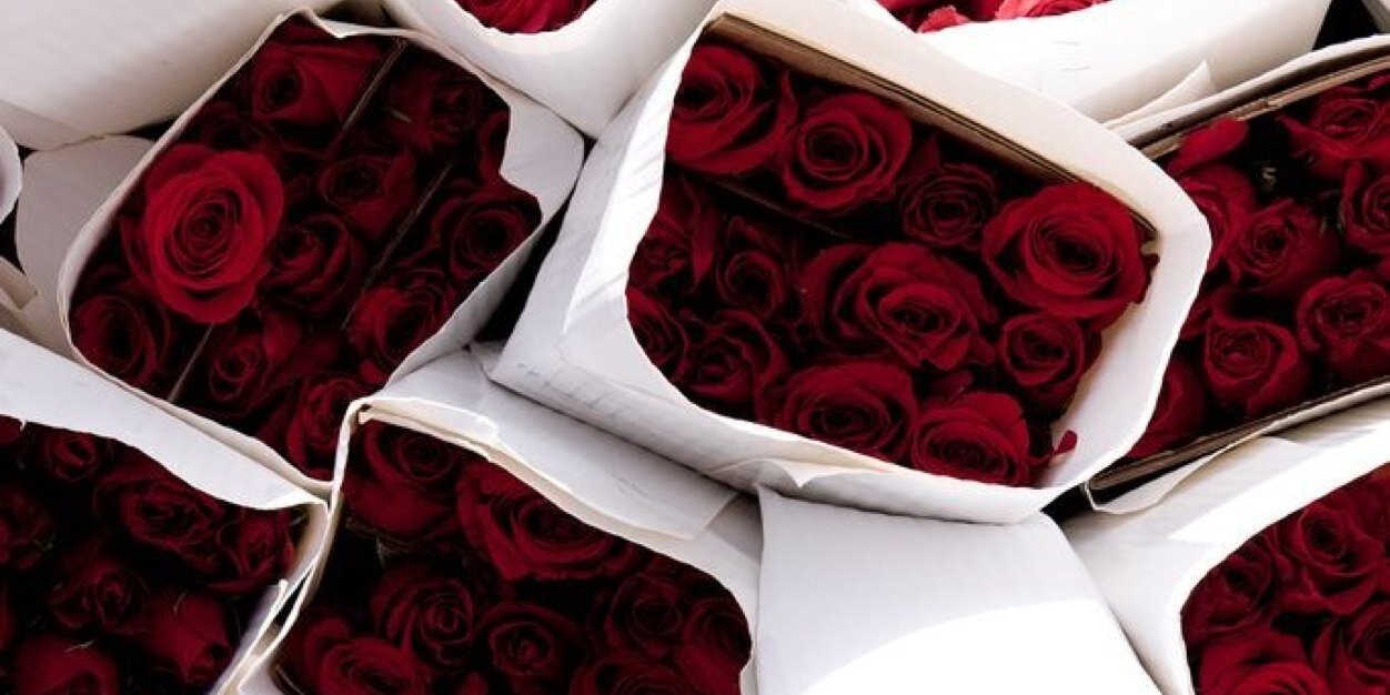 Belle Middleton banner