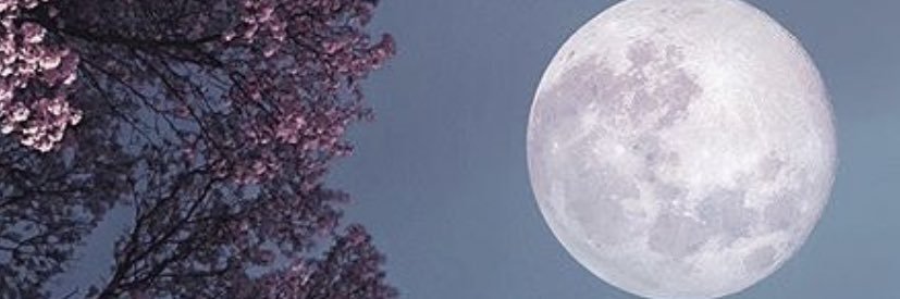 sooolare's profile banner image