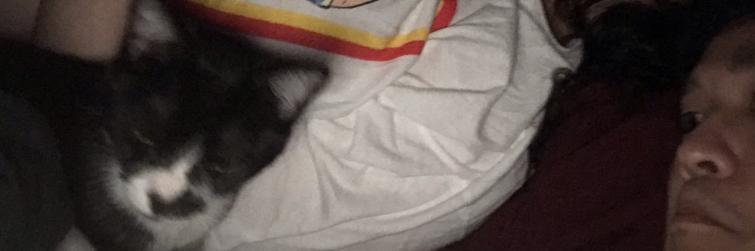 RaymondNoodls's profile banner image
