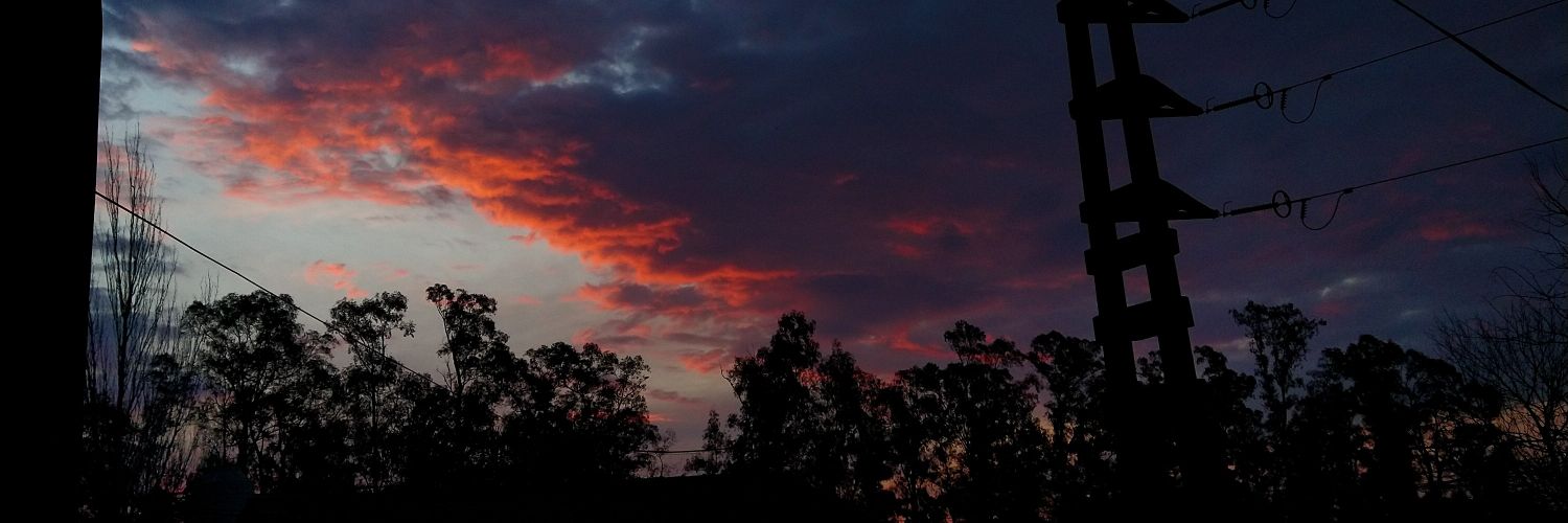 SofiDarduin_'s profile banner image