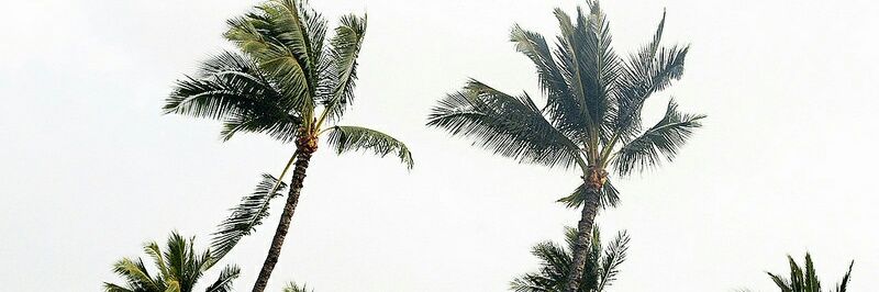 chanlieputh's profile banner image
