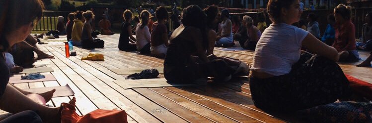 Sarvaanii's profile banner image