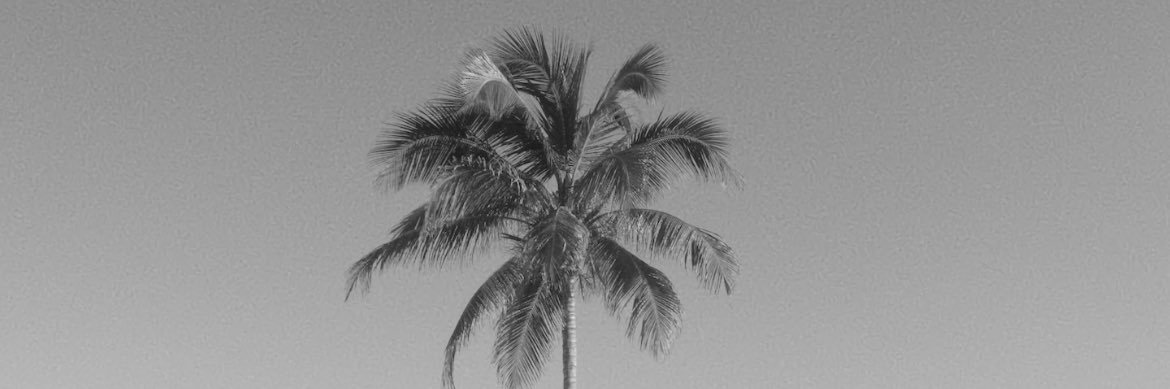 Americania's profile banner image