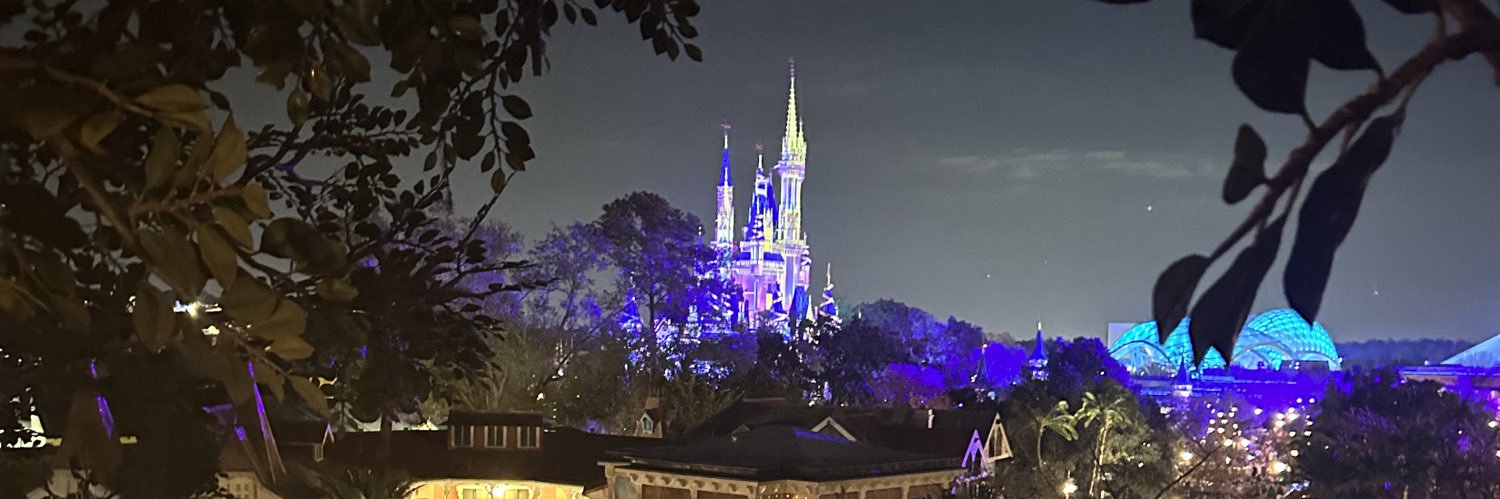 DivinedHavoc's profile banner image
