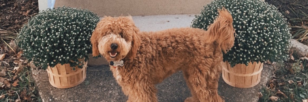 tori_strohm14's profile banner image