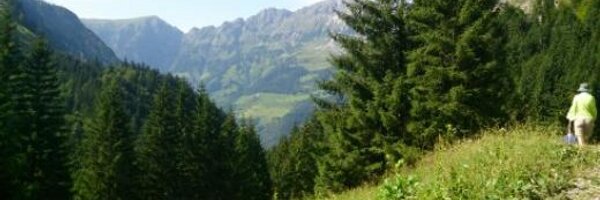 is_sch Profile Banner