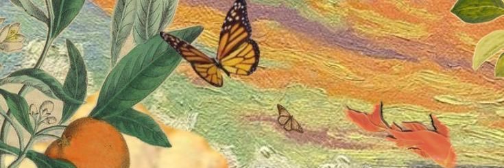 KellyMtn's profile banner image