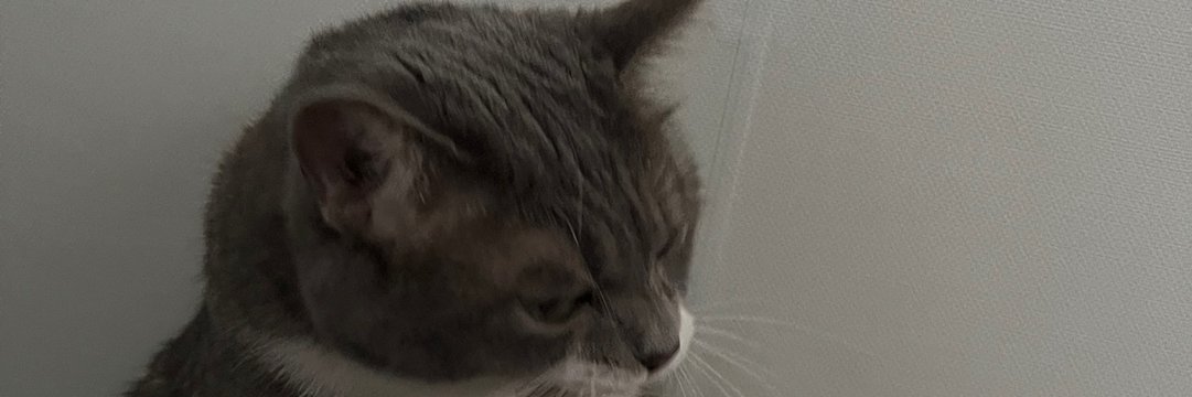 chyh53's profile banner image