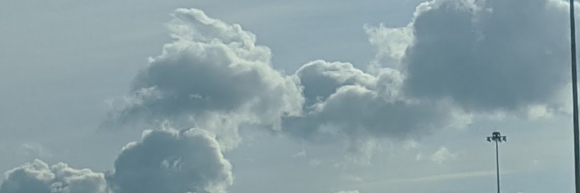 grassisms's profile banner image
