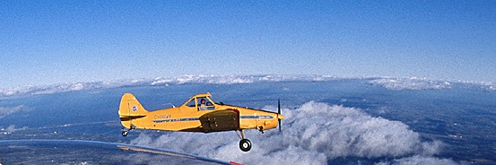 EdwardCarter17's profile banner image