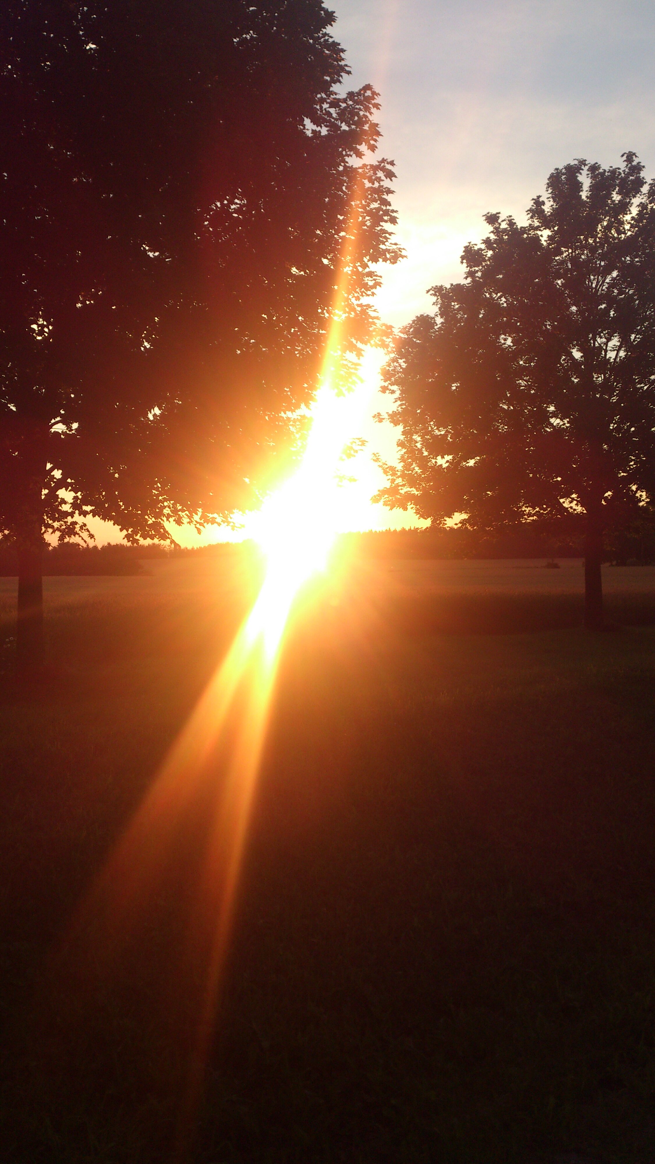 S_Chea's profile banner image