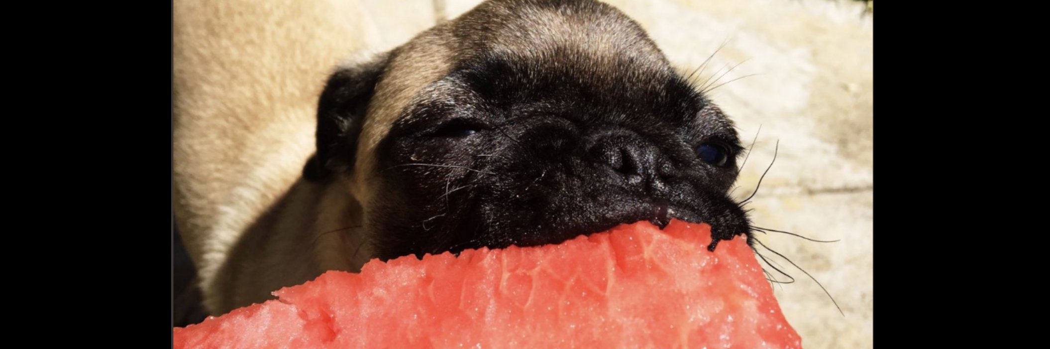 Jennnyytan's profile banner image