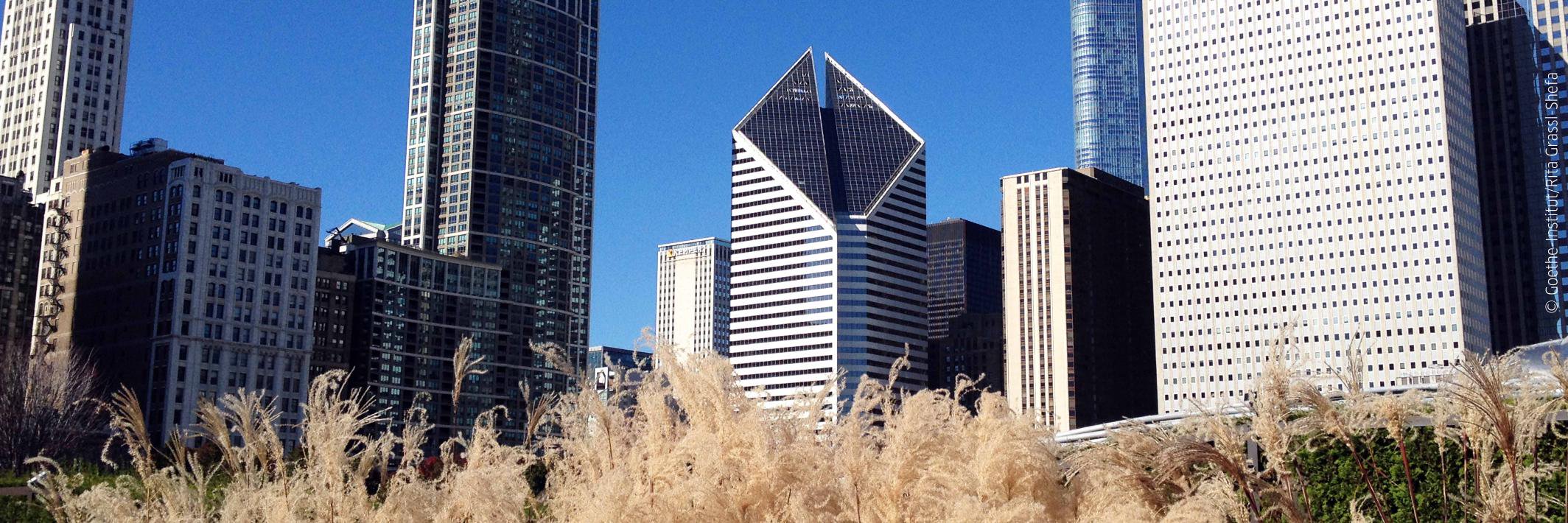 Goethe-Institut CHI banner