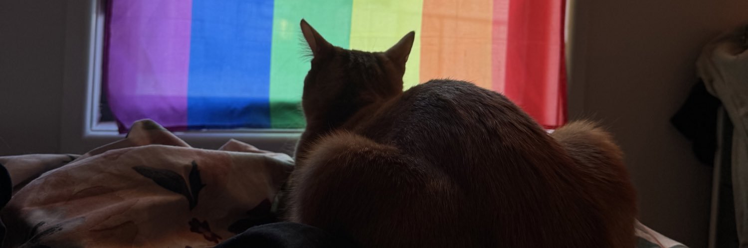 LadySnikex's profile banner image