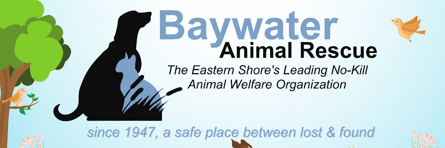 BaywaterAnimal's profile banner image