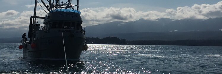 TheoAssu's profile banner image
