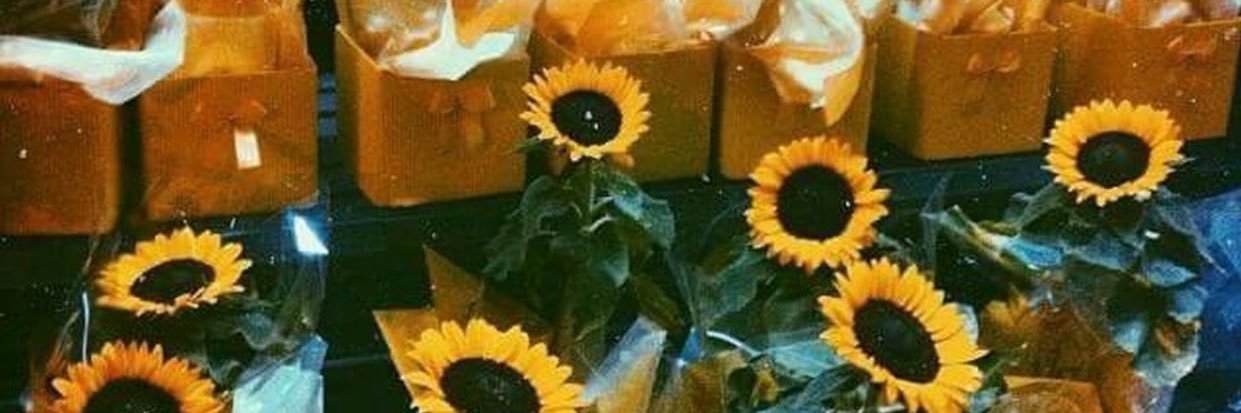Danielle_Lashhh's profile banner image