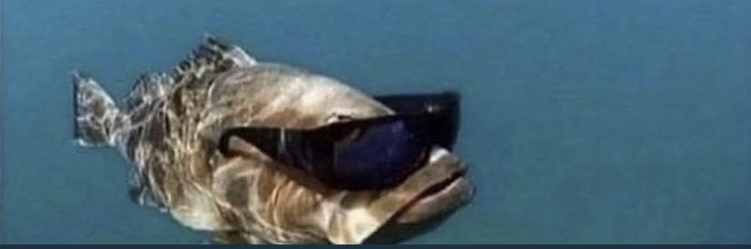 Hunter_Hubert's profile banner image