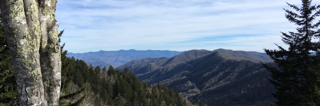 allisonctanner's profile banner image