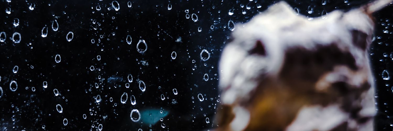 DiorizkyF's profile banner image